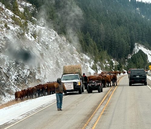  for Rocky Mountain Dirt Work in Missoula, MT