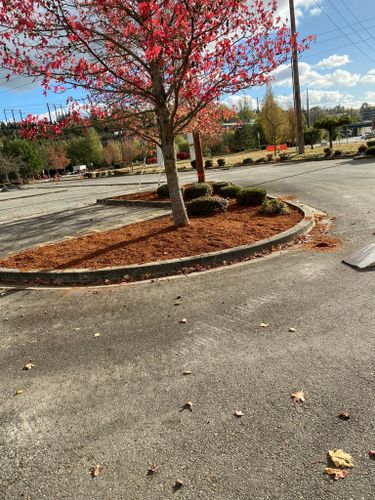  for Family Landscaping & Irrigation in Auburn, WA