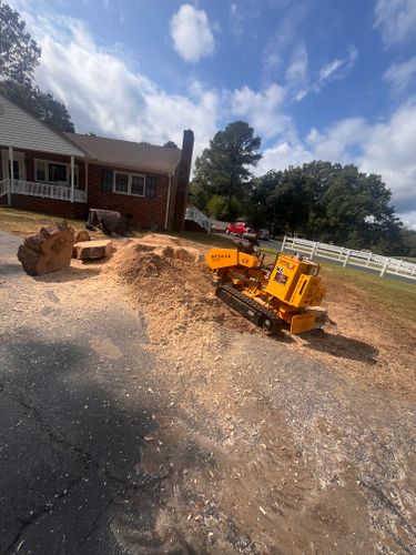  for Ricky's Tree Service & Property Care in Orange, VA