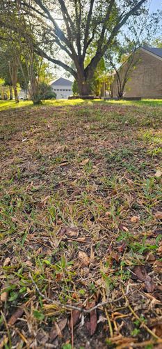  for Servin's Tree Care  in Houston, TX