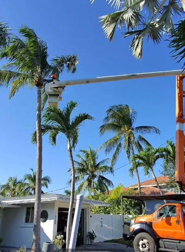 All Photos for Bridgewater Arbor Care LLC in Jupiter, FL