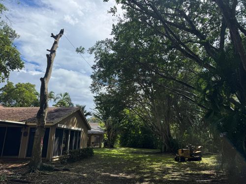 All Photos for Bridgewater Arbor Care LLC in Jupiter, FL