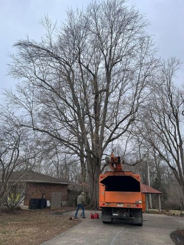  for Curtis Tree Service LLC in Hopkins County, KY