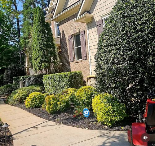 Landscaping for Surprising Odyssey in Gibsonville, NC