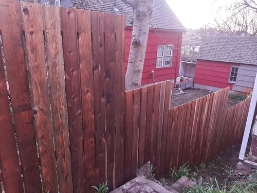  for Wild Mutt Handyman Services in Pullman, WA