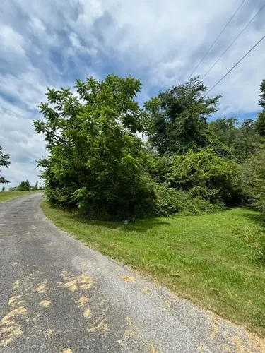  for Three Rivers Dirt Works LLC in Knoxville, TN