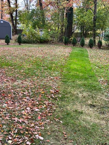 Fall Clean Up for Sargent's Lawn and Property Maintenance LLC in Lambertville, MI