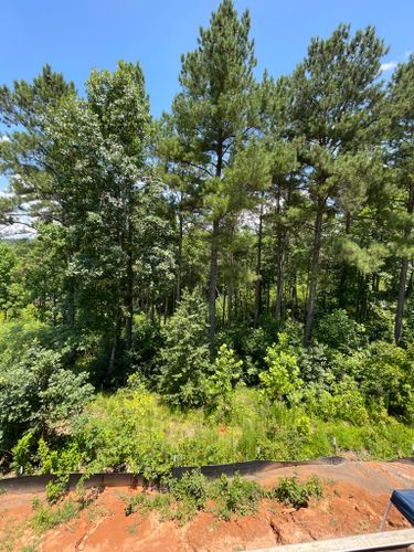  for Stem Tree Service in Belmont, NC