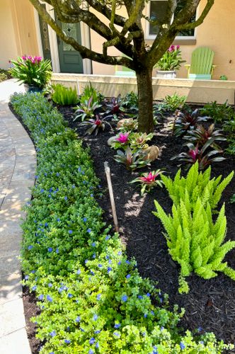 Mulch Installation for Verimay's Garden and Landscaping in Hillsborough County, FL
