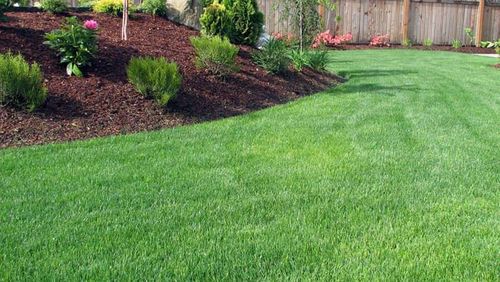 Landscaping for Optimum Tree Service And Landscaping in Bowling Green, KY