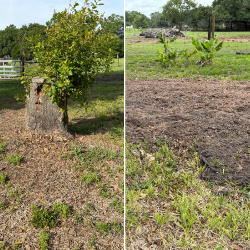  for Greene Acres Stump Grinding in Plant City, FL