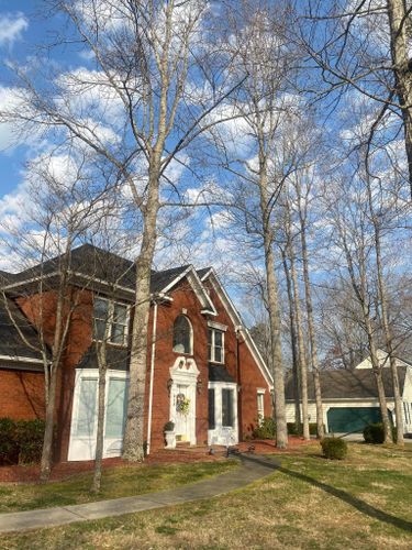 Fall and Spring Clean Up for Atwood’s Tree Care in Liberty,  KY