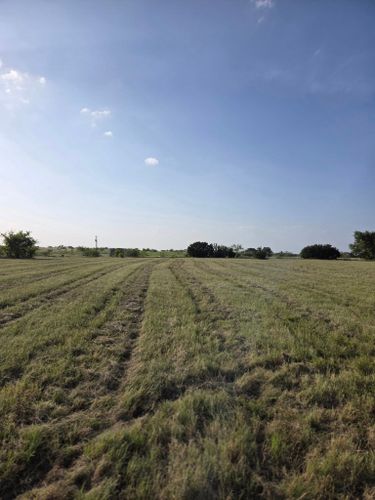 Grazing Services for Philipp Property Solutions, LLC in Valley Mills, TX