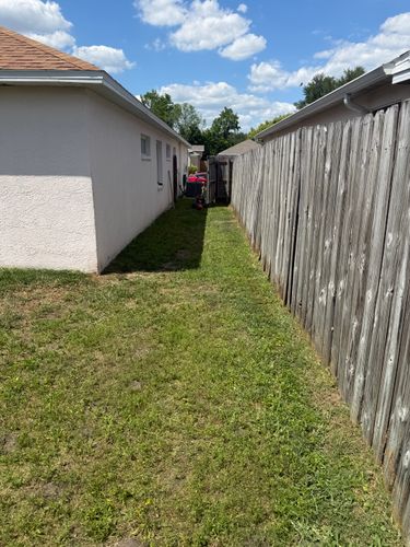 Lawn Maintenance for The Yardman in Tampa, FL