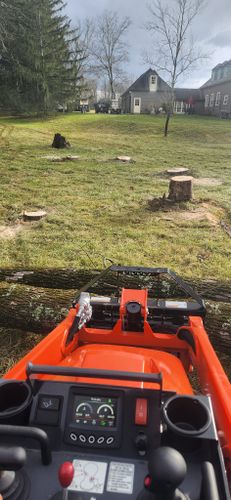 Tree & Shrub Care for Cristians Maintenance and Hardscaping llc in Bedminster, NJ