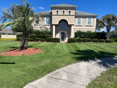 All Photos for New Creation Landscaping in Myrtle Beach, SC