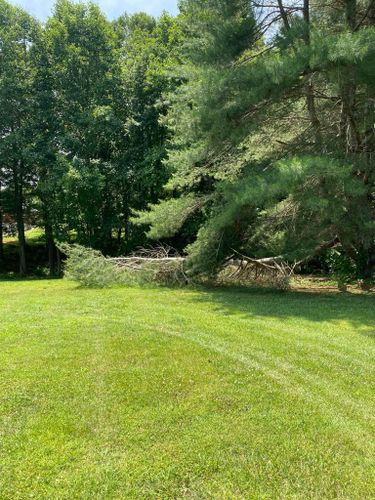 Tree Removal for Atwood’s Tree Care in Liberty,  KY