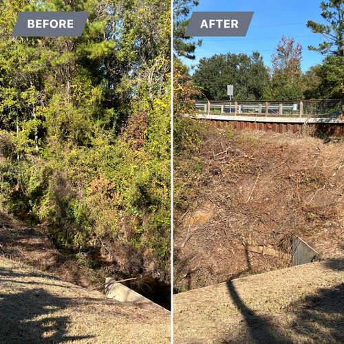  for Southern Venom Services in Daphne, AL