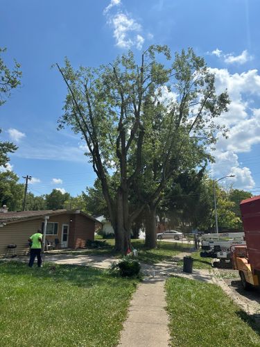 All Photos for Pro Tree Trim & Removal, Llc in Dayton, OH