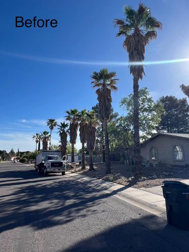 Stump Removal for By Faith Landscaping in Sierra Vista, AZ