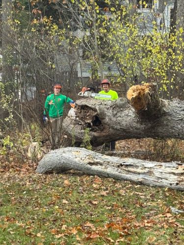  for Clifford’s Quality Tree Care & Landscaping in Enfield, NH