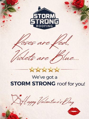  for Storm Strong Roofing in Tampa, FL