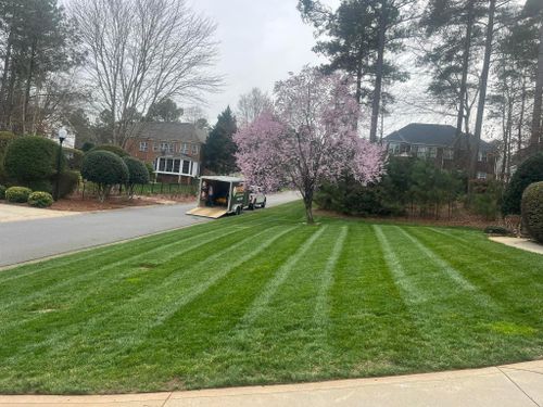  for Reiser Lawn Service in Denver, North Carolina