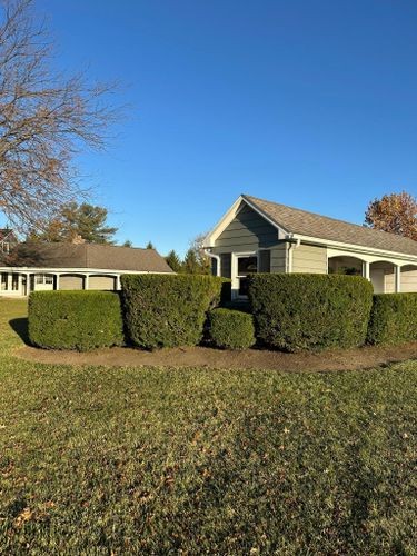 Shrub Trimming for OT Lawn and Landscaping LLC in Carey, OH