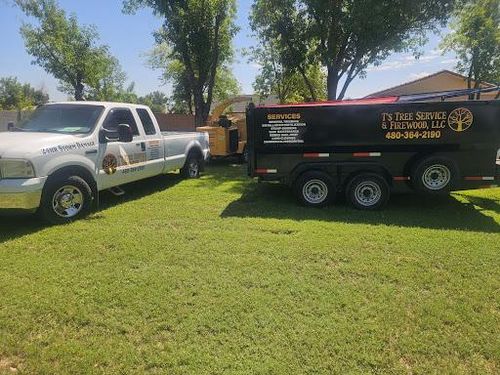Tree Removal for T's Tree Service and Firewood in Apache Junction, AZ