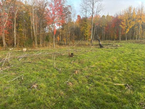  for Premier Services in New London, MN