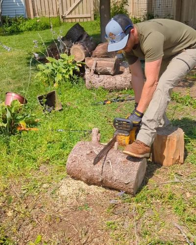 Tree Removal for Revive Home  in , 