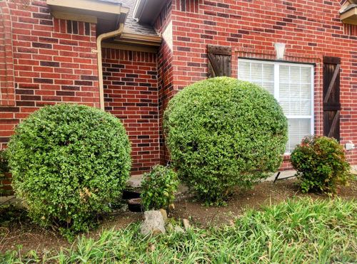 All Photos for Lavon Lawn Plus in Lavon, TX