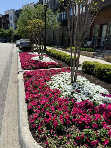 Seasonal color changes for Guerrero's Landscape in Fort Worth,  TX