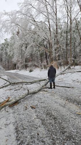  for Jace’s Tree & Stump Removal in Franklin, TN