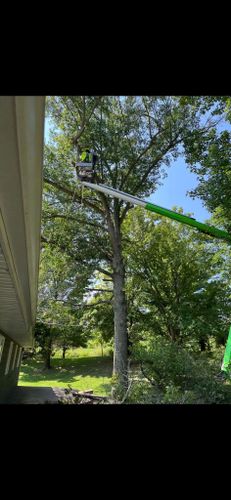 Emergency Tree Services for Hendricks Tree Service in Belleville, IL