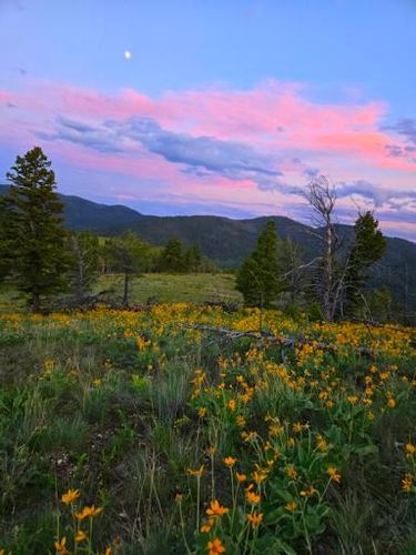  for Eagle Bay Lawn & Landscape LLC in Helena, MT