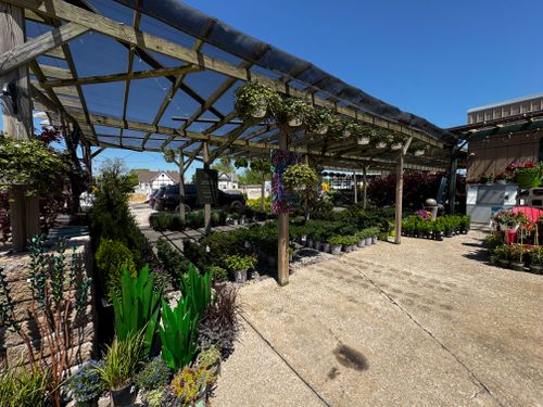 Gardening for Mayfield Landscaping in Staunton, IL