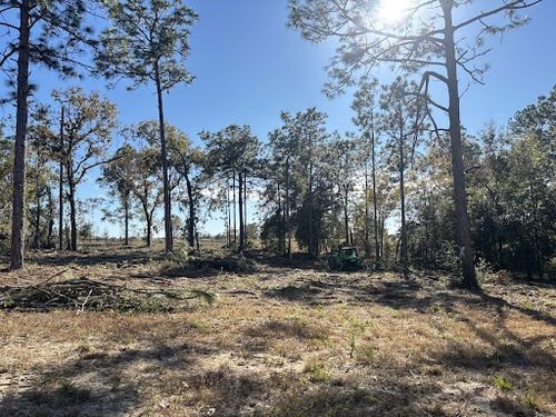 Tree Trimming & Removals for Aztec Land Destroyers LLC in Ocala, FL