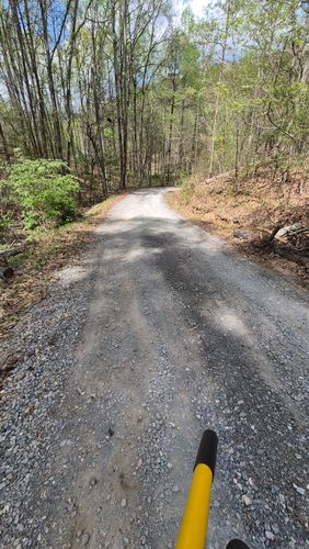  for Liberty Landscapes and Services in Ringgold, GA