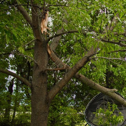  for Oakwood Tree Removal LLC in Oak Creek,  WI