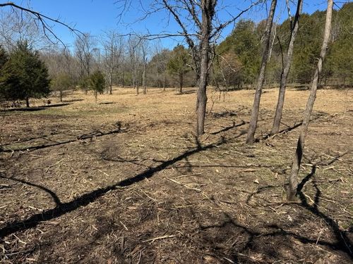 Land Clearing for Barkers Outdoor Services in Hamilton, OH