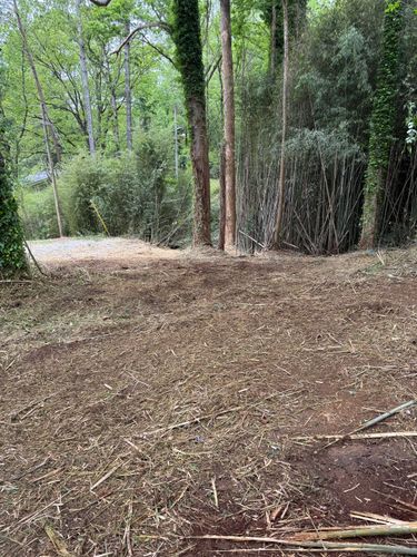  for T Crane Grading LLC in Clarkesville, GA