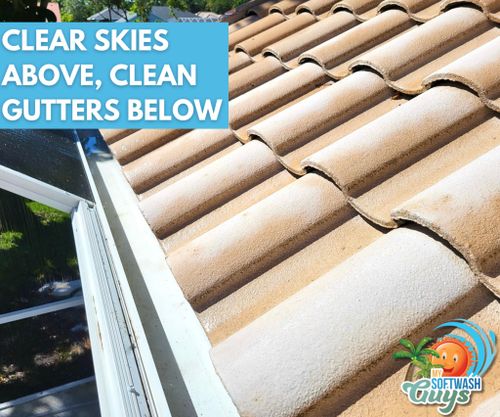 Roof Cleaning for My Softwash Guys in Venice, FL