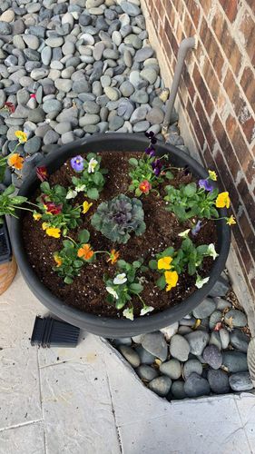 All Photos for Joandi's Lawn & Landscaping Service in Haltom City, TX