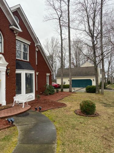 Tree Removal for Atwood’s Tree Care in Liberty,  KY