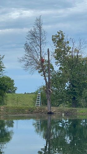 All Photos for Atwood’s Tree Care in Liberty,  KY