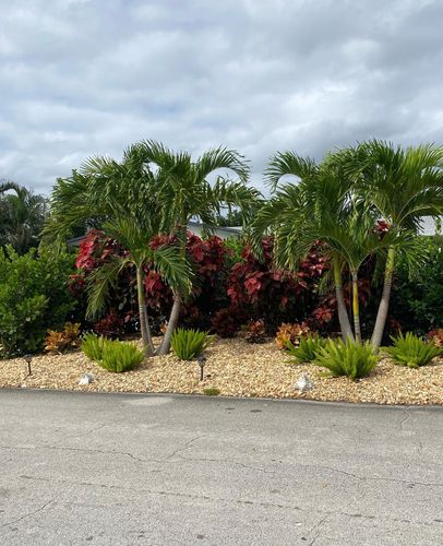 Tree Trimming for Green Touch Property Maintenance in Broward County, FL