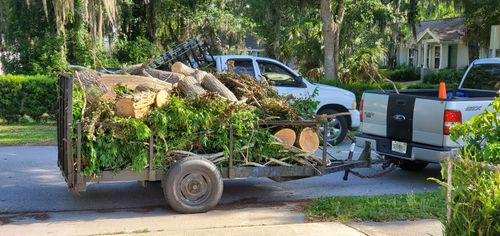All Photos for Highlife Tree Care And Landscaping in Altamonte Springs, FL