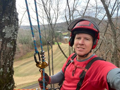 Tree Removal for Pinedown LLC in Cherokee County, GA