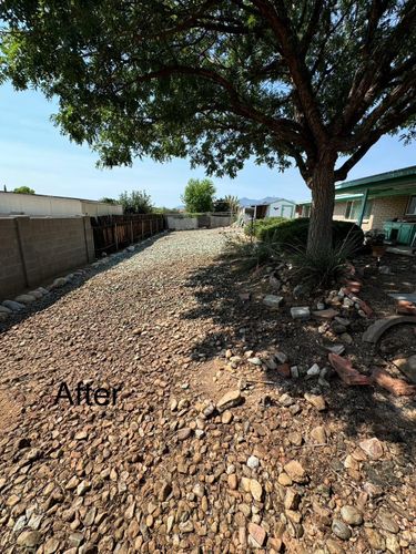 Stump Removal for By Faith Landscaping in Sierra Vista, AZ